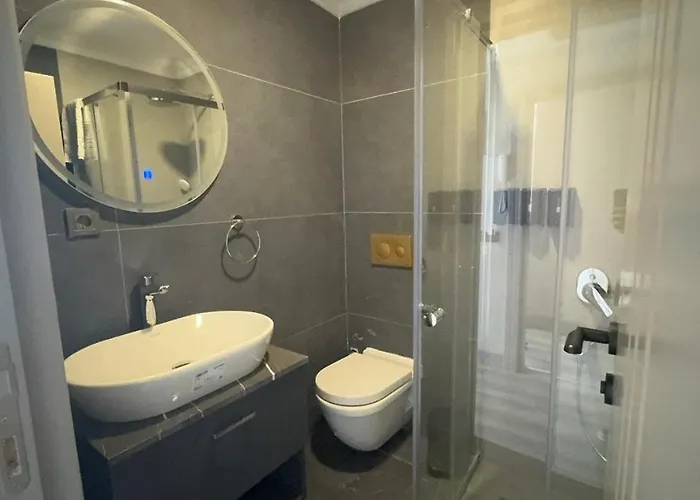 ホテル Massimo 3*